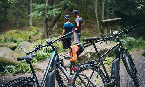 Op de voorgrond zijn twee trekkingfietsen te zien, daarachter twee fietsers die naar het bos kijken.
