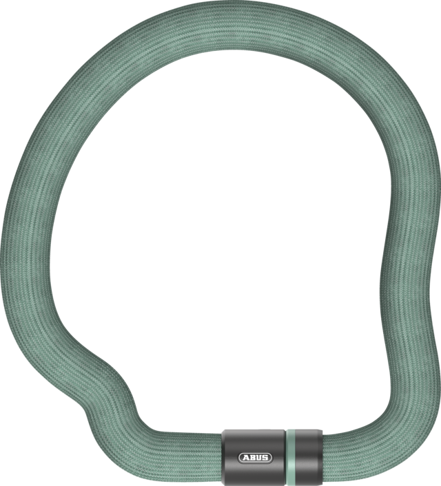 Abus Ganzenslot 6206K/110 - munt