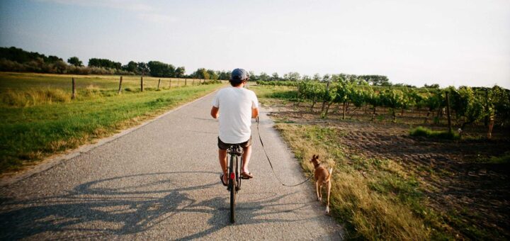 Man fietst naast zijn hond – samen veilig fietsen met hond.