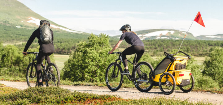 fietskar