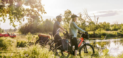 elektrische fiets accu