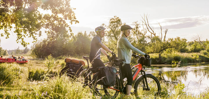 elektrische fiets accu